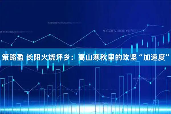 策略盈 长阳火烧坪乡：高山寒秋里的攻坚“加速度”