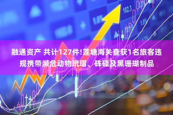 融通资产 共计127件!莲塘海关查获1名旅客违规携带濒危动物玳瑁、砗磲及黑珊瑚制品