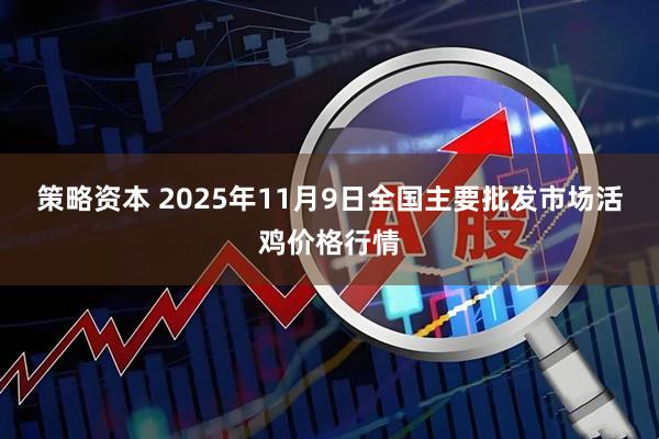 策略资本 2025年11月9日全国主要批发市场活鸡价格行情
