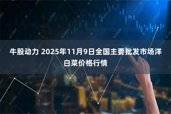 牛股动力 2025年11月9日全国主要批发市场洋白菜价格行情