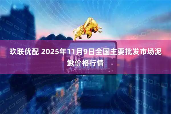 玖联优配 2025年11月9日全国主要批发市场泥鳅价格行情